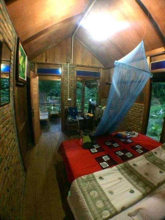 Thousand Hills Ketambe ,Room And Treking Lhokuenam Экстерьер фото